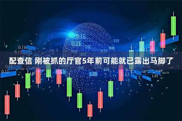 配查信 刚被抓的厅官5年前可能就已露出马脚了